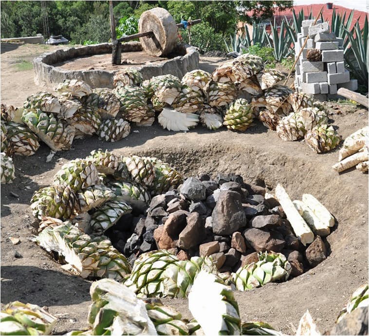 bild på Tequila och Mezcal med Björn Kjellberg – Från Vino de Mezcal till Mezcal i Oaxaca Mexico