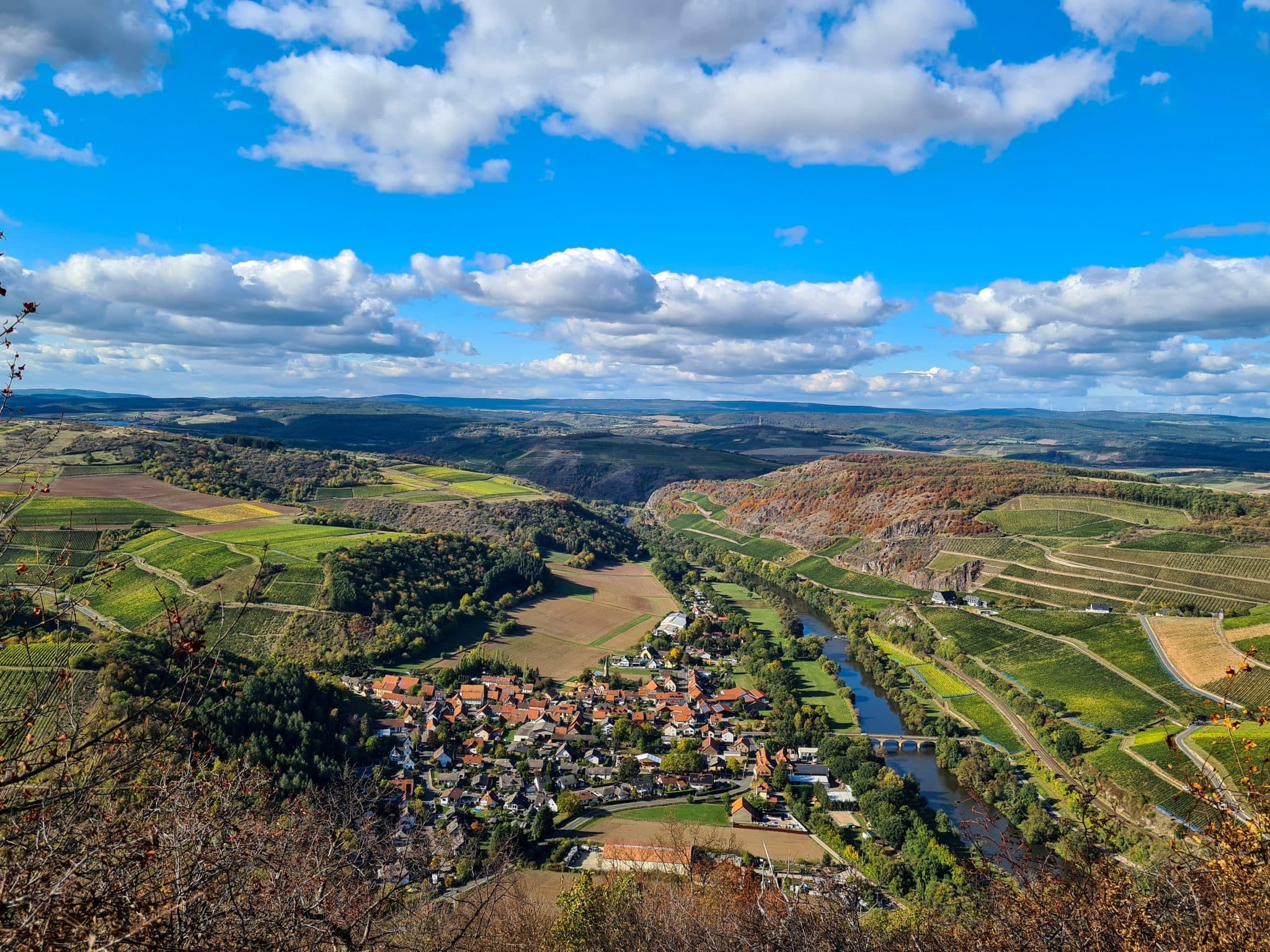 Riesling vs chardonnay - Gut Hermannsberg vs Domaine Leflaive