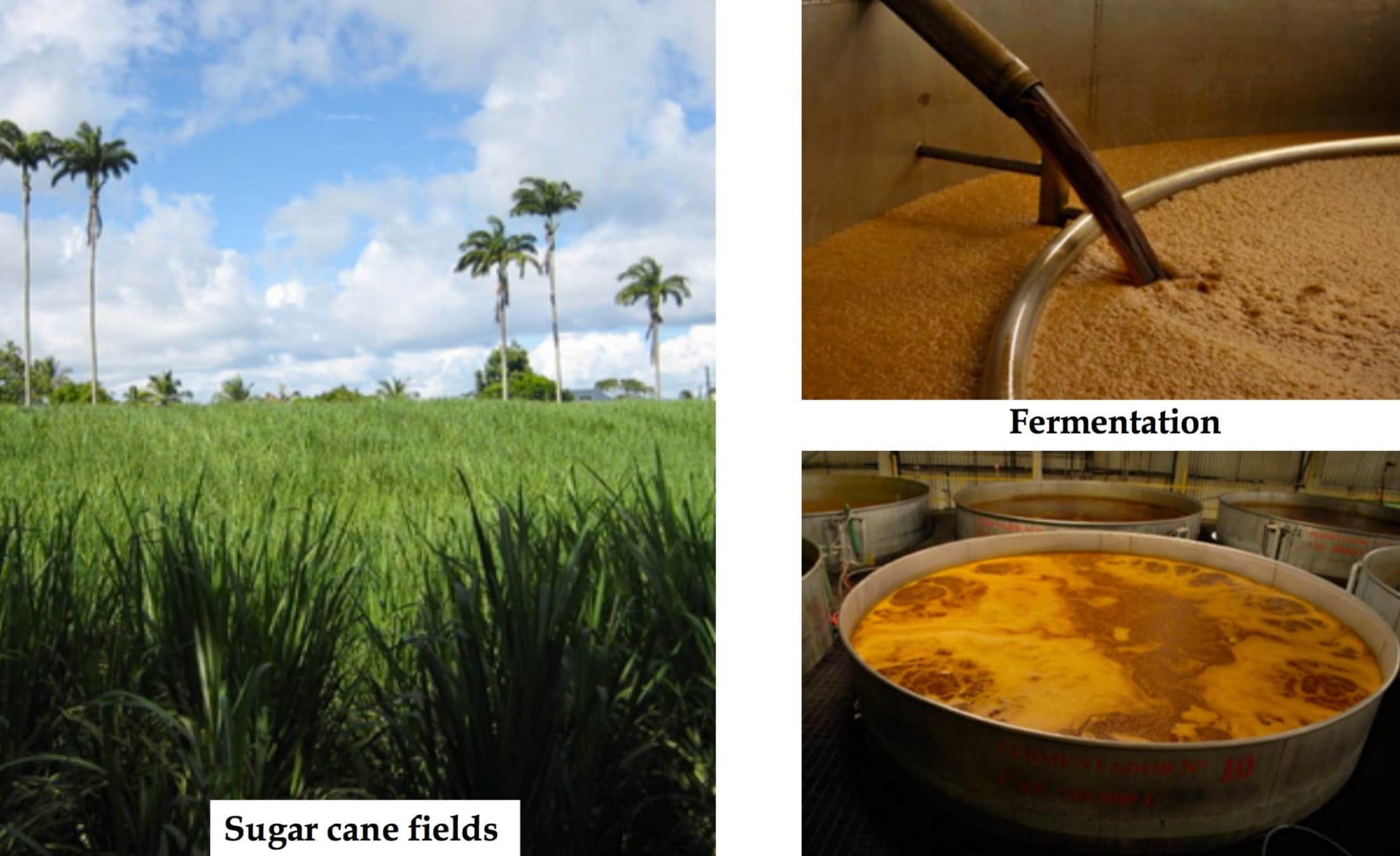 Bild från DinVinGuide