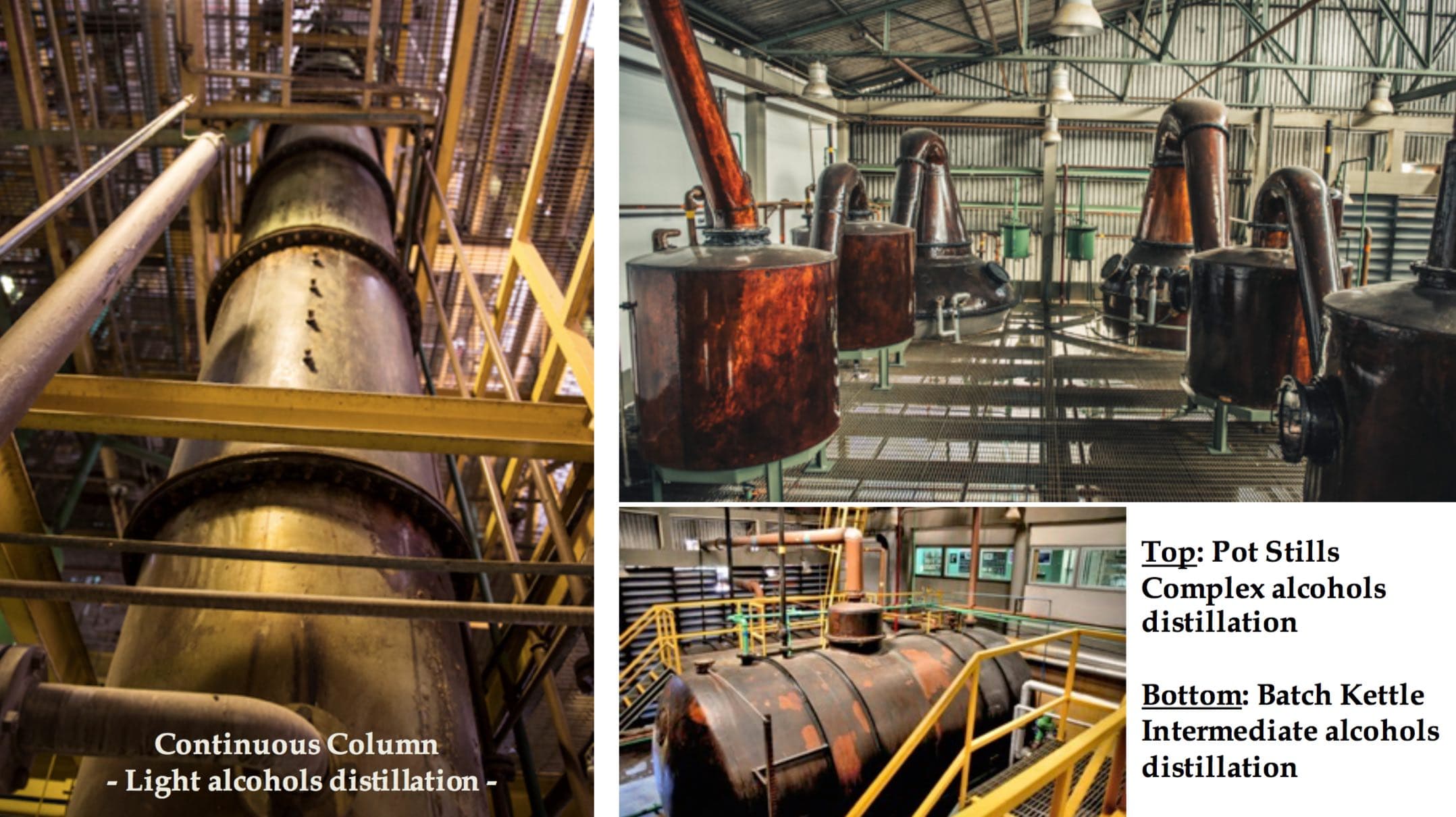 Bild från DinVinGuide