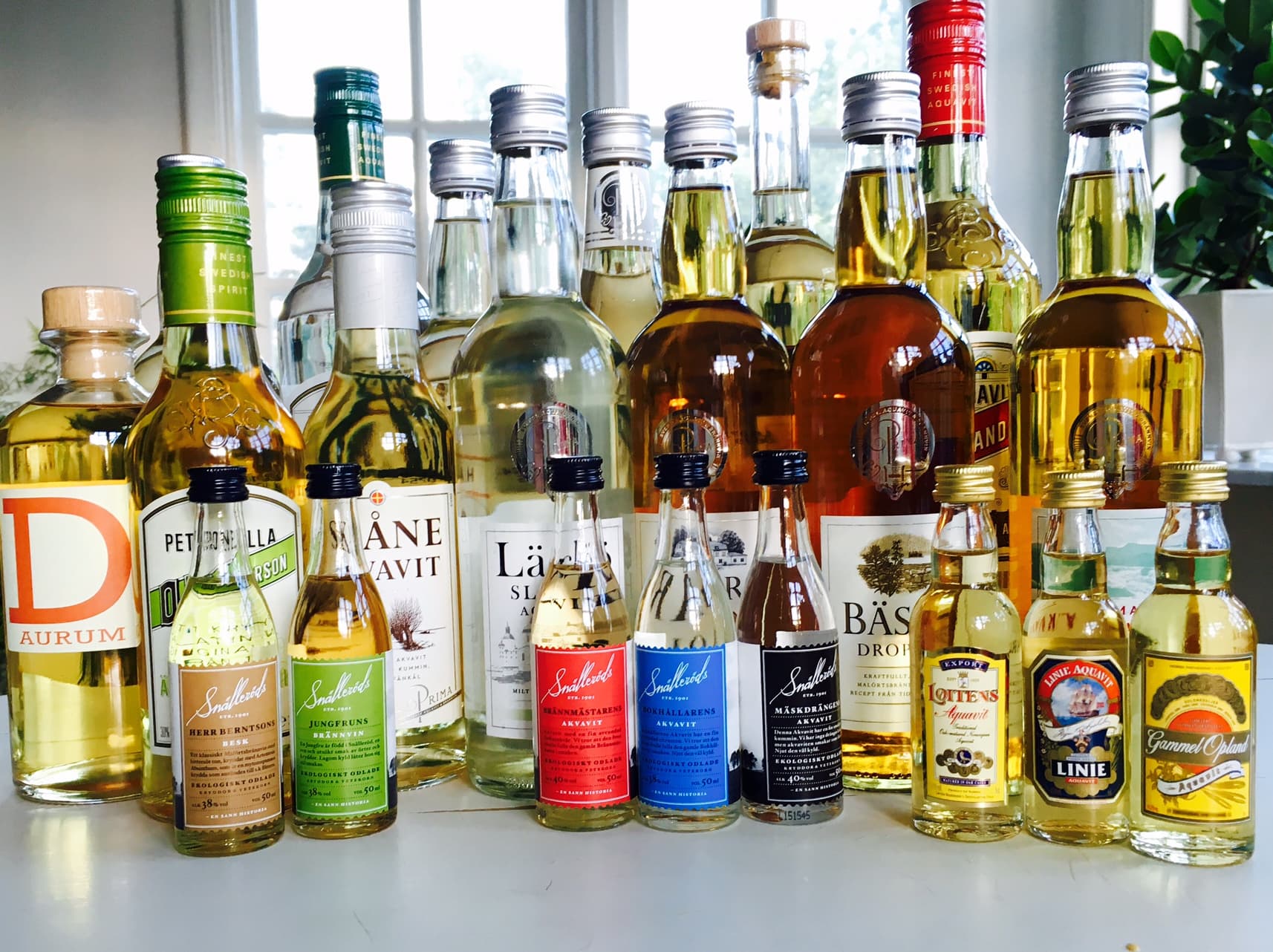 Bild från DinVinGuide