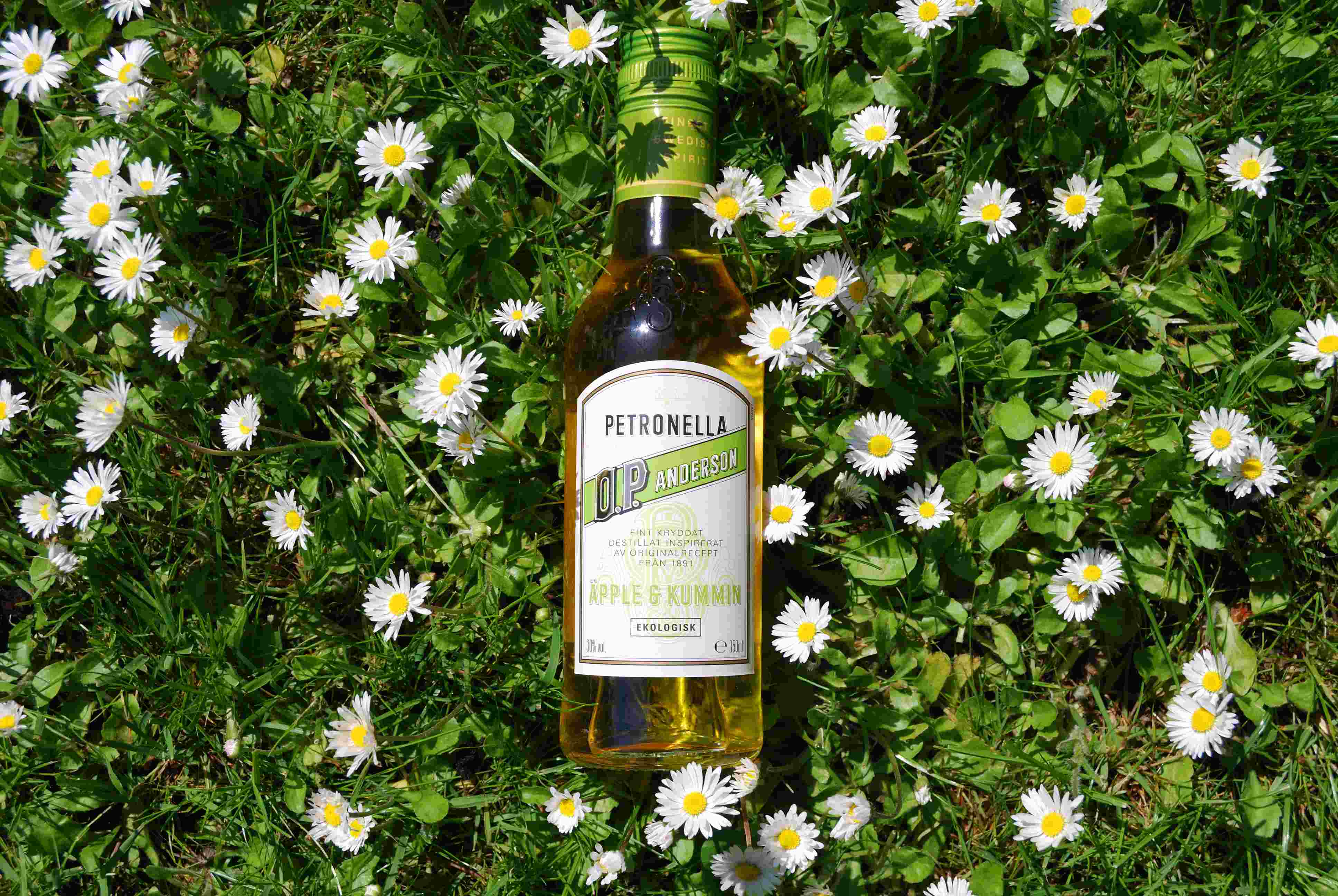 Bild från DinVinGuide