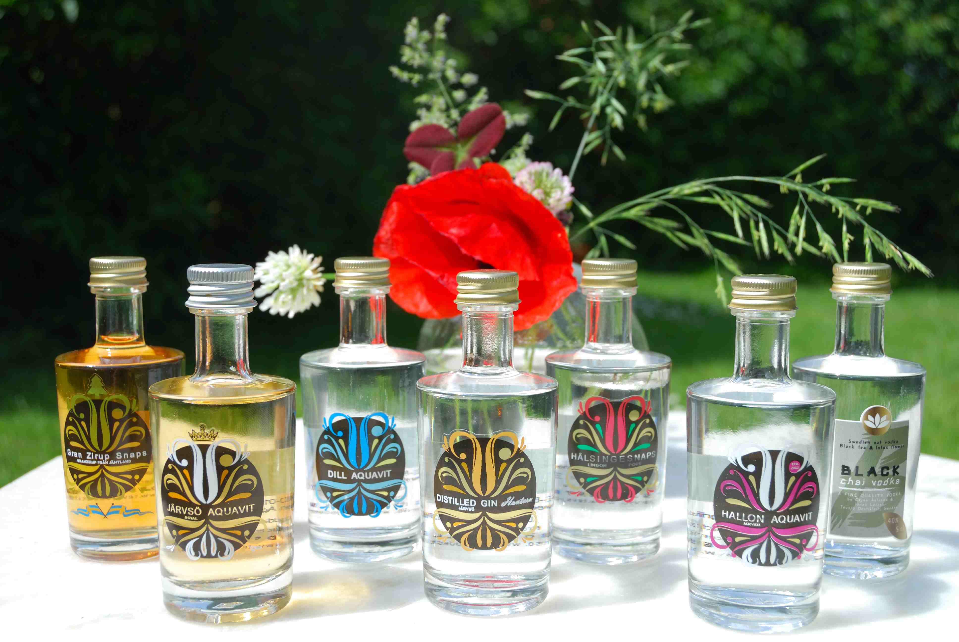 Bild från DinVinGuide