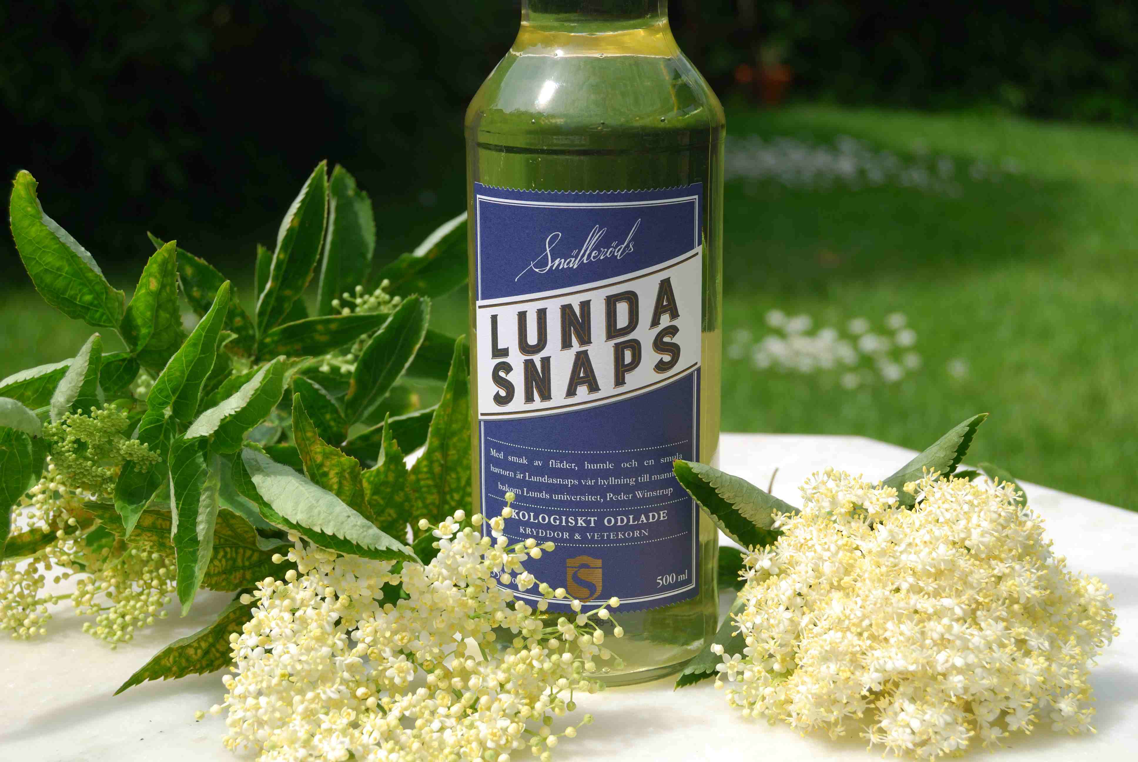 Snaps – inte bara till midsommar