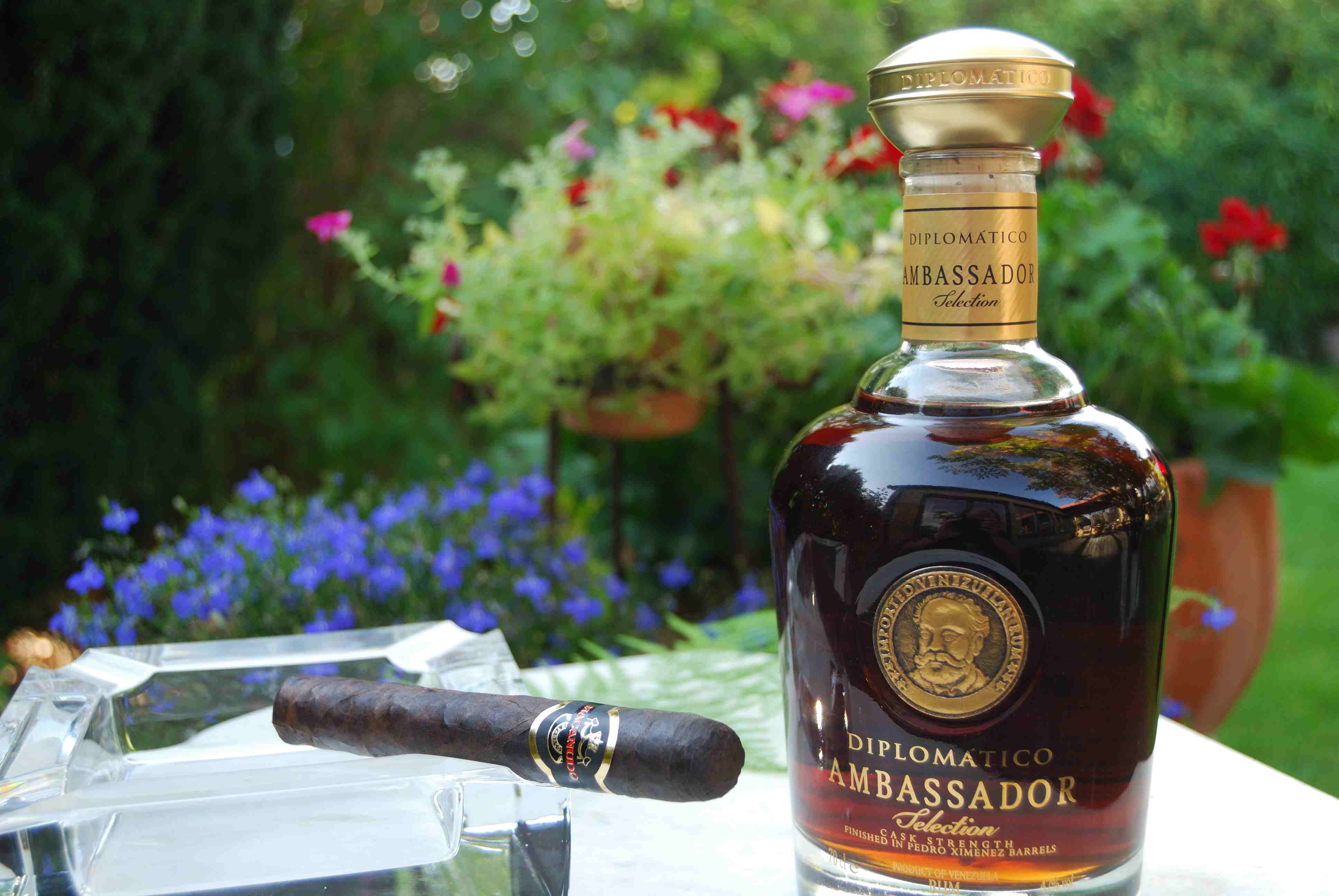 Bild från DinVinGuide