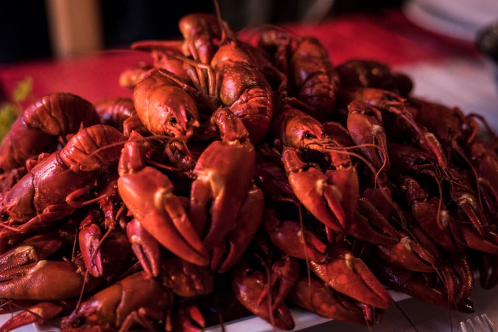 Foto raphael cameron