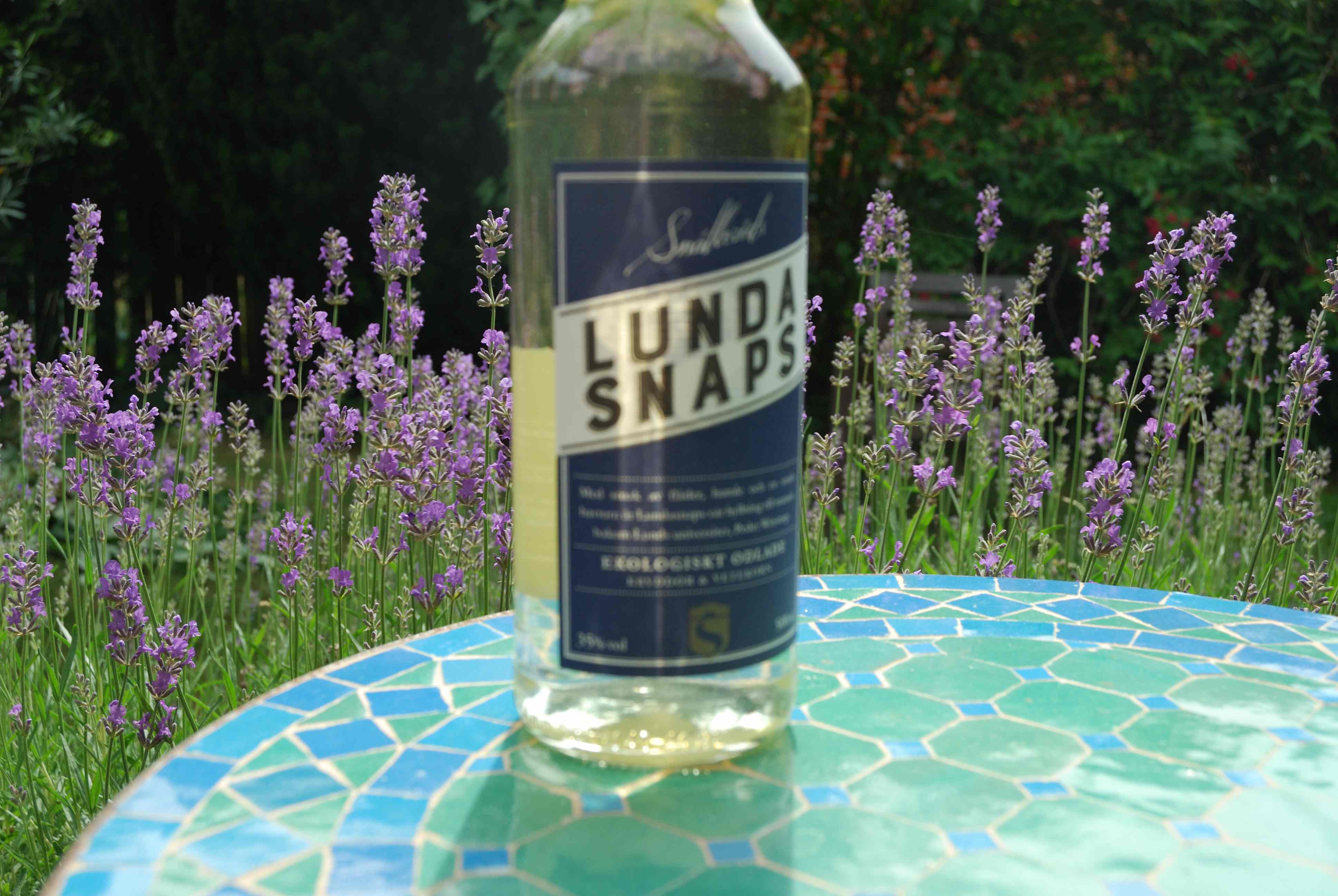 Bild från DinVinGuide