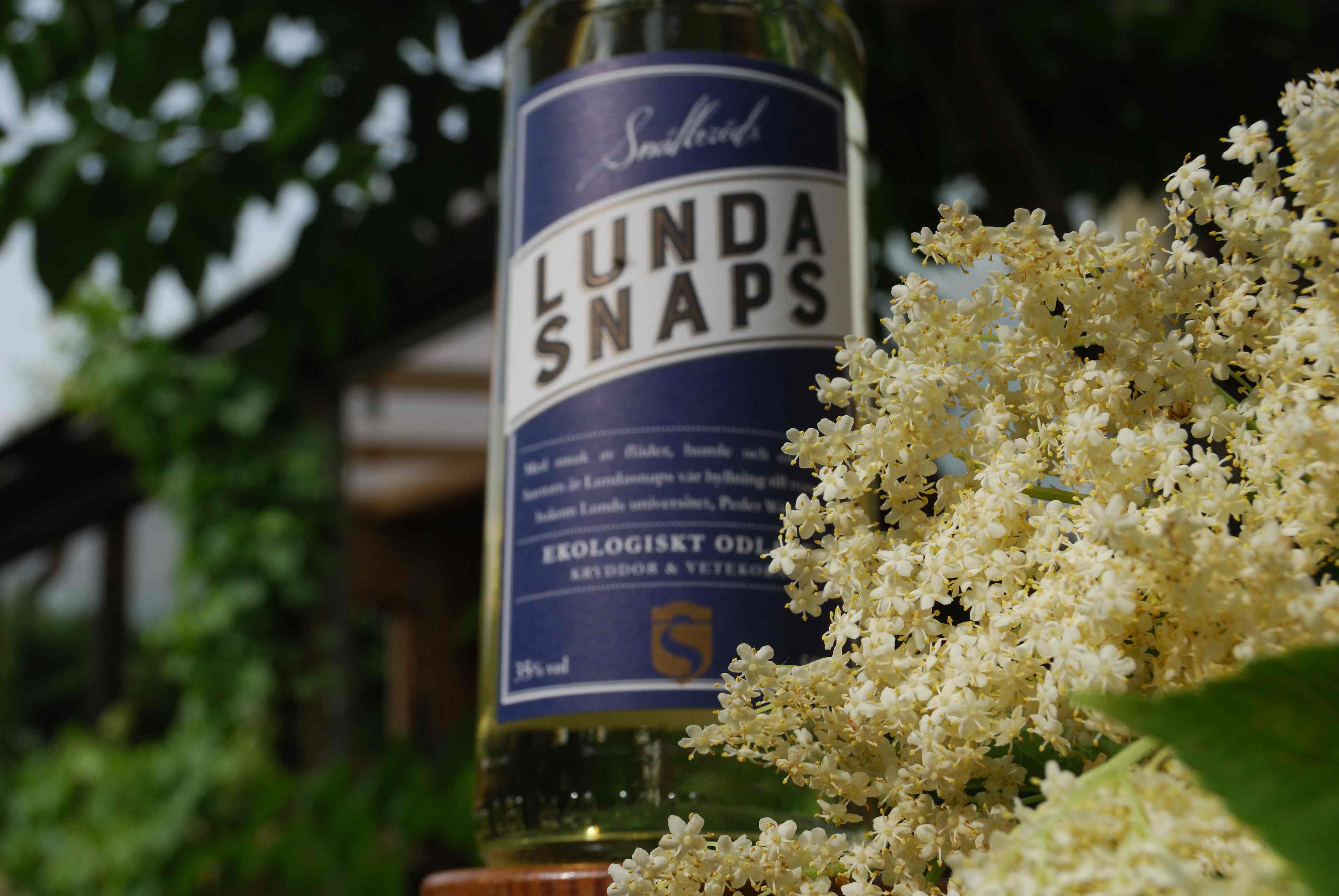 Bild från DinVinGuide