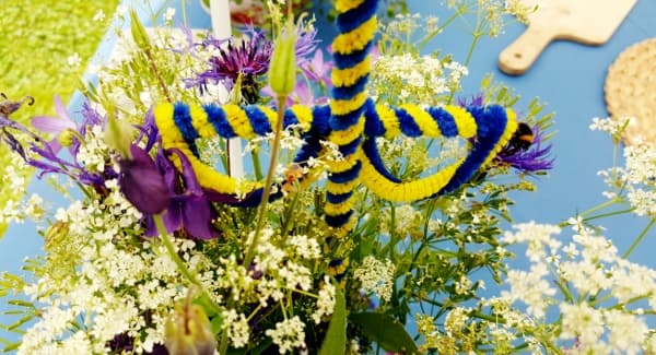 Bild från DinVinGuide