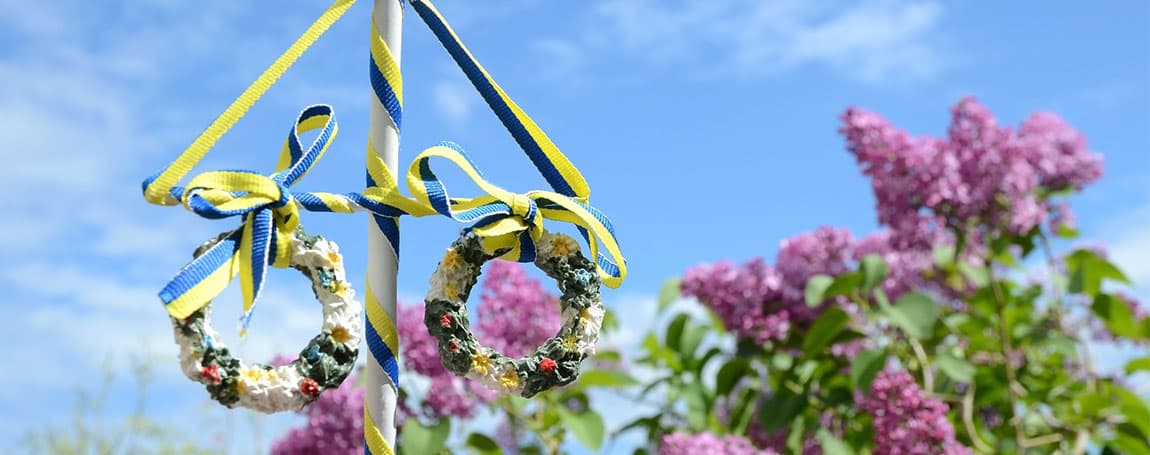 Bästa midsommarsnapsen