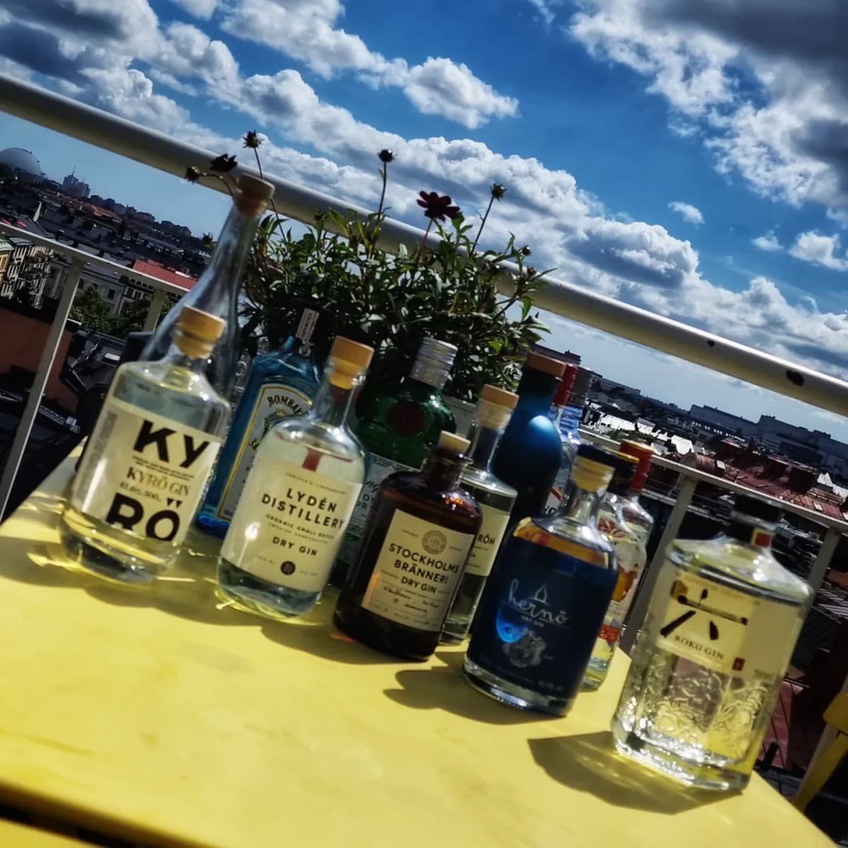 Bild från DinVinGuide