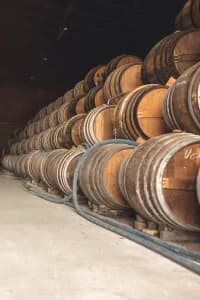 Bild från DinVinGuide