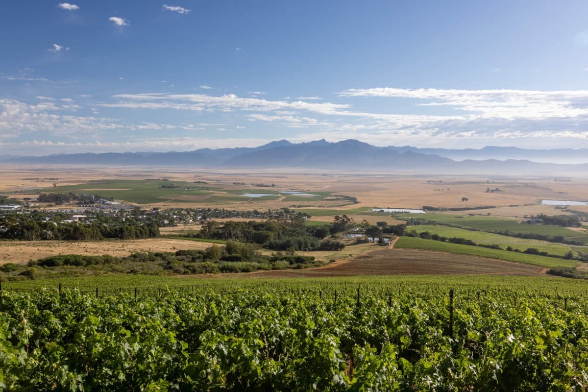 Månadens vinhus: Allesverloren Wine Estate